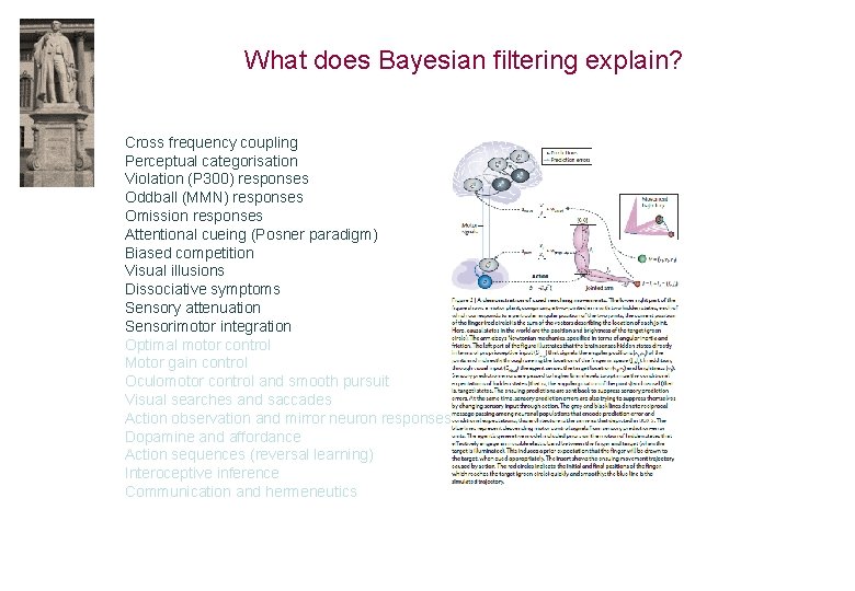 What does Bayesian filtering explain? Cross frequency coupling Perceptual categorisation Violation (P 300) responses