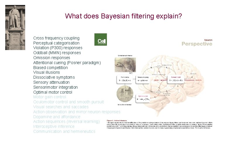 What does Bayesian filtering explain? Cross frequency coupling Perceptual categorisation Violation (P 300) responses