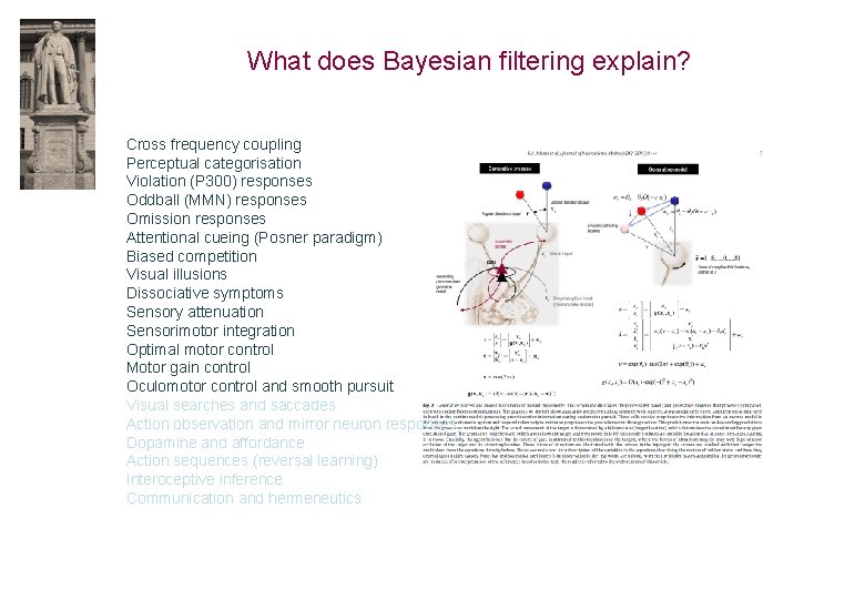 What does Bayesian filtering explain? Cross frequency coupling Perceptual categorisation Violation (P 300) responses