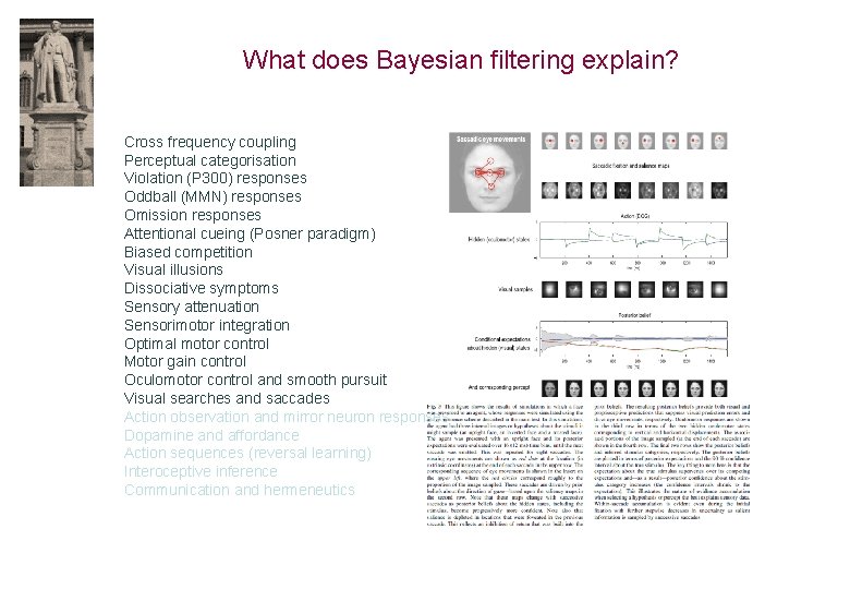 What does Bayesian filtering explain? Cross frequency coupling Perceptual categorisation Violation (P 300) responses