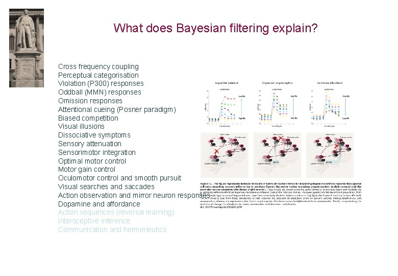What does Bayesian filtering explain? Cross frequency coupling Perceptual categorisation Violation (P 300) responses