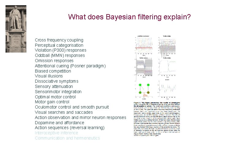 What does Bayesian filtering explain? Cross frequency coupling Perceptual categorisation Violation (P 300) responses