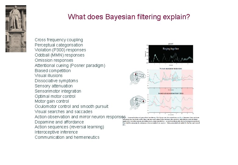 What does Bayesian filtering explain? Cross frequency coupling Perceptual categorisation Violation (P 300) responses
