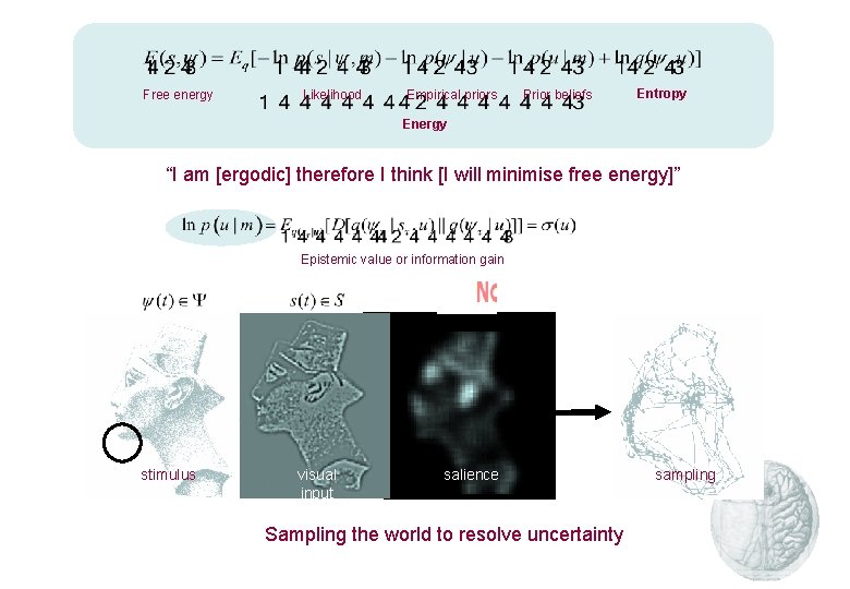 Free energy Likelihood Empirical priors Prior beliefs Entropy Energy “I am [ergodic] therefore I