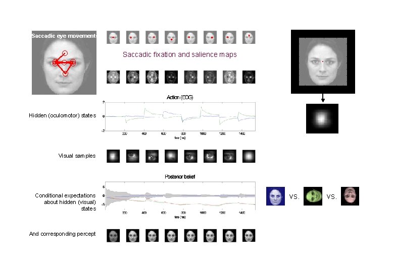 Saccadic eye movements Saccadic fixation and salience maps Hidden (oculomotor) states Visual samples Conditional