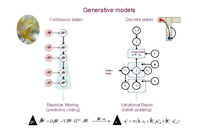 Generative models Discrete states Continuous states Control states Hidden states Bayesian filtering (predictive coding)