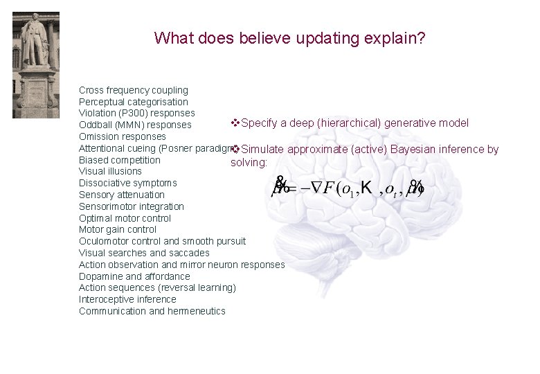 What does believe updating explain? Cross frequency coupling Perceptual categorisation Violation (P 300) responses