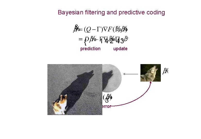 Bayesian filtering and predictive coding prediction error update 