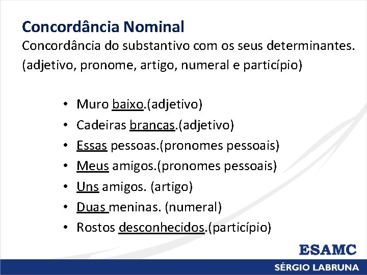 Concordância Nominal Concordância do substantivo com os seus determinantes. (adjetivo, pronome, artigo, numeral e