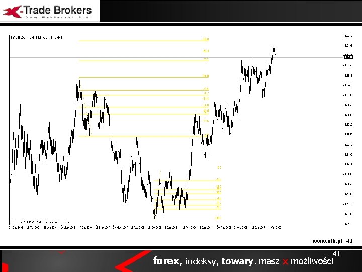 www. xtb. pl 41 41 forex, indeksy, towary. masz x możliwości 