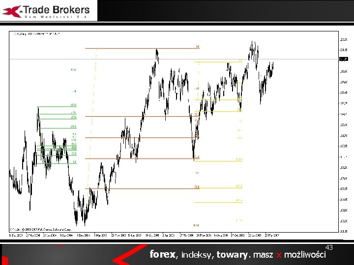 www. xtb. pl 43 43 forex, indeksy, towary. masz x możliwości 