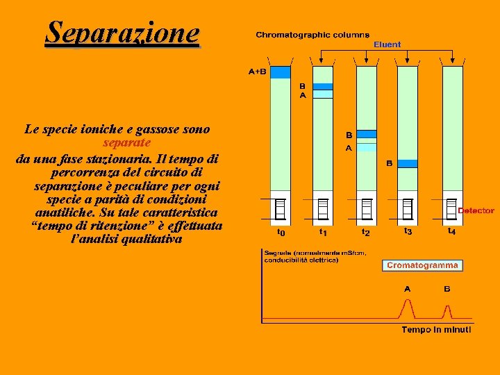 Separazione Le specie ioniche e gassose sono separate da una fase stazionaria. Il tempo