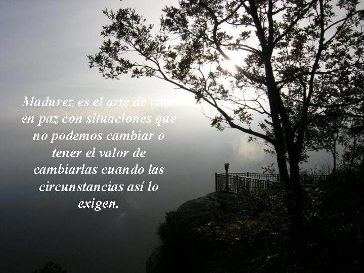 Madurez es el arte de vivir en paz con situaciones que no podemos cambiar