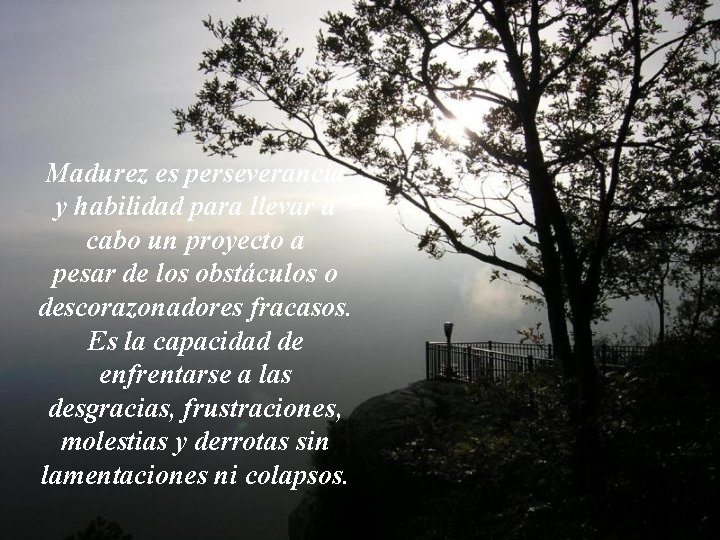 Madurez es perseverancia y habilidad para llevar a cabo un proyecto a pesar de