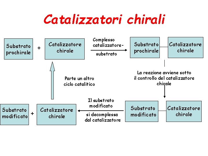 Catalizzatori chirali Substrato prochirale + Catalizzatore chirale Complesso catalizzatoresubstrato Parte un altro ciclo catalitico