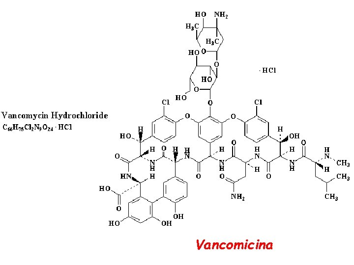 Vancomicina 