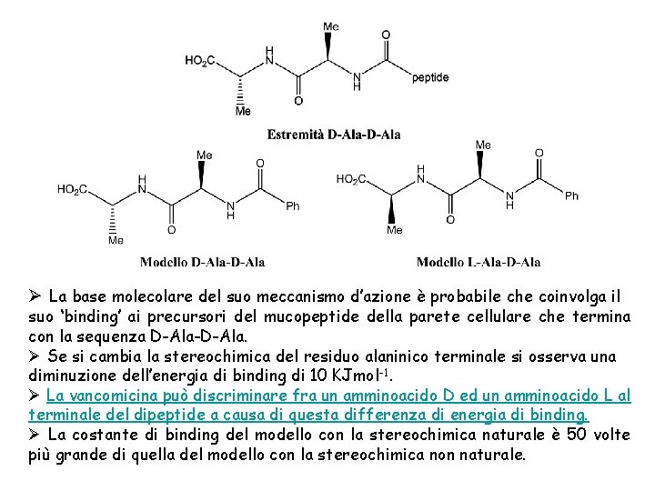 Ø La base molecolare del suo meccanismo d’azione è probabile che coinvolga il suo