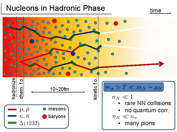 10~20 fm mesons time kinetic f. o. chem. f. o. hadronize Nucleons in Hadronic