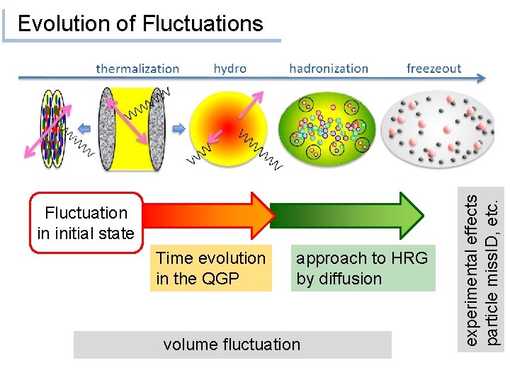 Fluctuation in initial state Time evolution in the QGP approach to HRG by diffusion