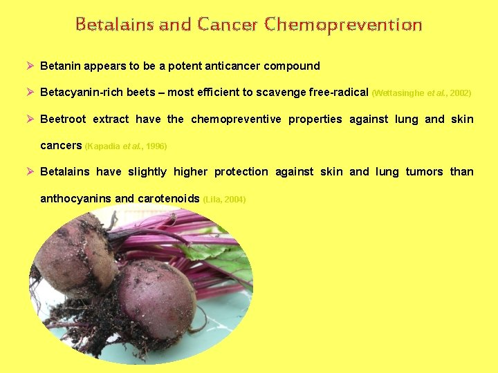 Betalains and Cancer Chemoprevention Ø Betanin appears to be a potent anticancer compound Ø