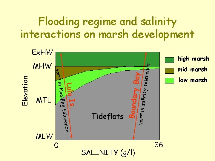 Flooding regime and salinity interactions on marsh development Ex. HW rance linity tole Bay
