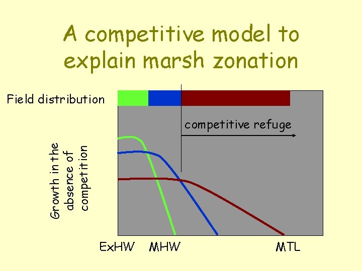 A competitive model to explain marsh zonation Field distribution Growth in the absence of