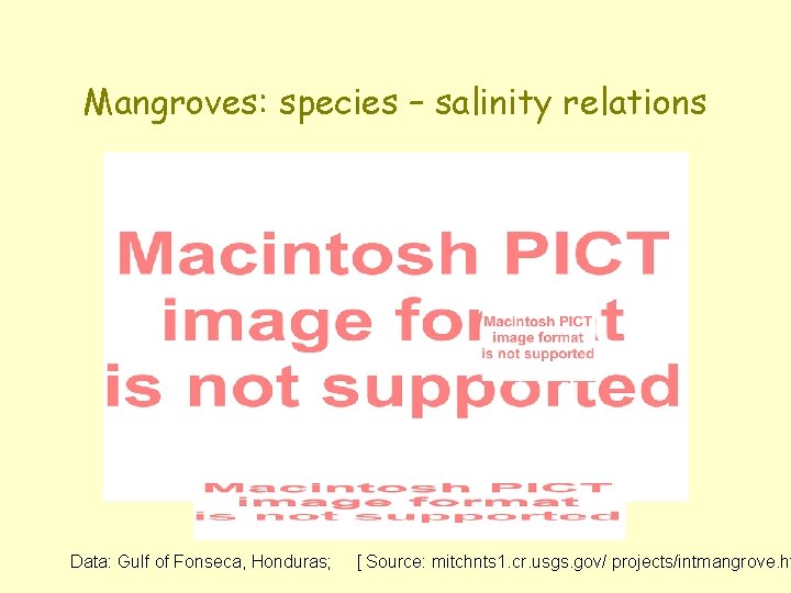Mangroves: species – salinity relations Data: Gulf of Fonseca, Honduras; [ Source: mitchnts 1.