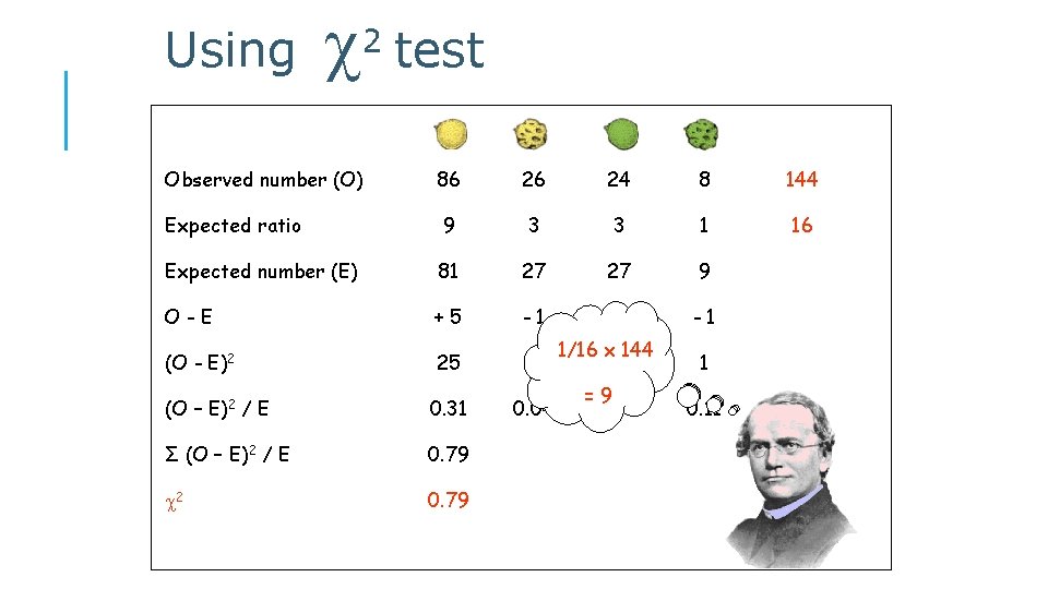 Using 2 test Observed number (O) 86 26 24 8 144 Expected ratio 9