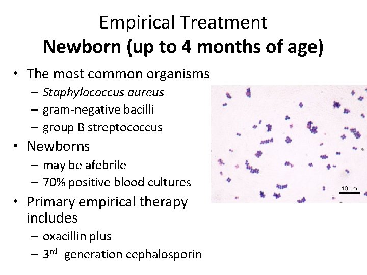 Empirical Treatment Newborn (up to 4 months of age) • The most common organisms