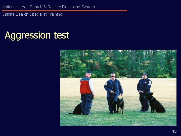 National Urban Search & Rescue Response System Canine Search Specialist Training Aggression test 15