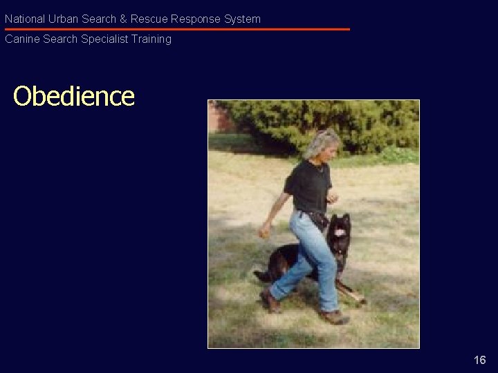 National Urban Search & Rescue Response System Canine Search Specialist Training Obedience 16 