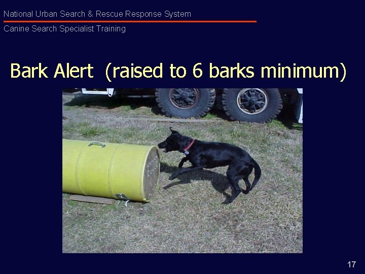 National Urban Search & Rescue Response System Canine Search Specialist Training Bark Alert (raised