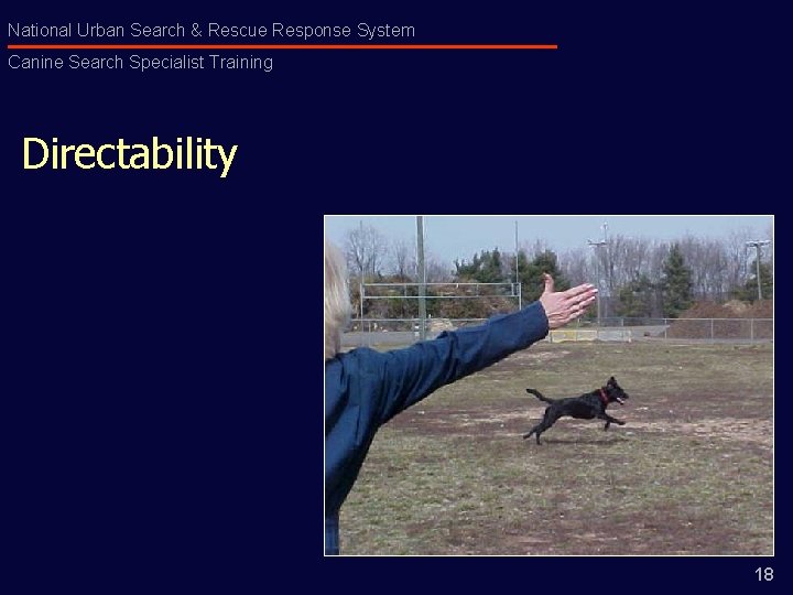 National Urban Search & Rescue Response System Canine Search Specialist Training Directability 18 