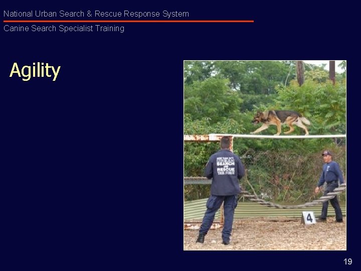 National Urban Search & Rescue Response System Canine Search Specialist Training Agility 19 