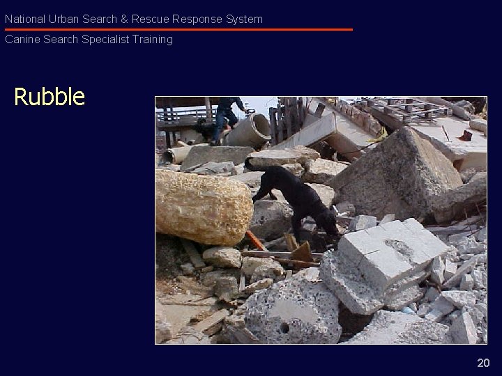 National Urban Search & Rescue Response System Canine Search Specialist Training Rubble 20 