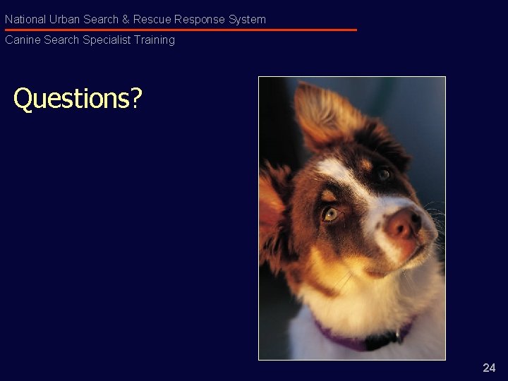 National Urban Search & Rescue Response System Canine Search Specialist Training Questions? 24 