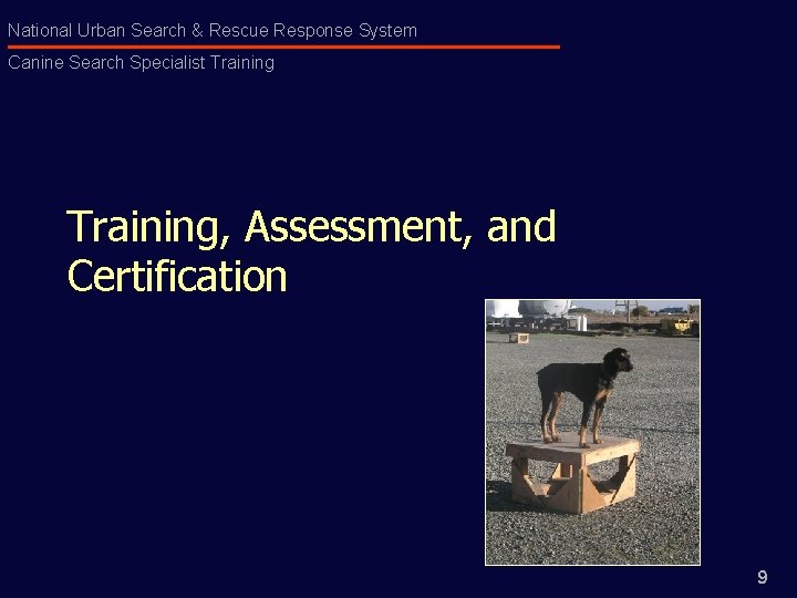 National Urban Search & Rescue Response System Canine Search Specialist Training, Assessment, and Certification
