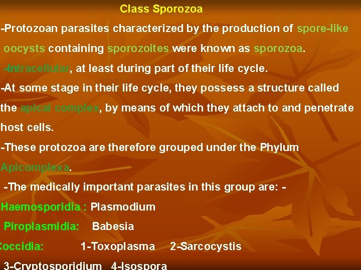 Class Sporozoa -Protozoan parasites characterized by the production of spore-like oocysts containing sporozoites were