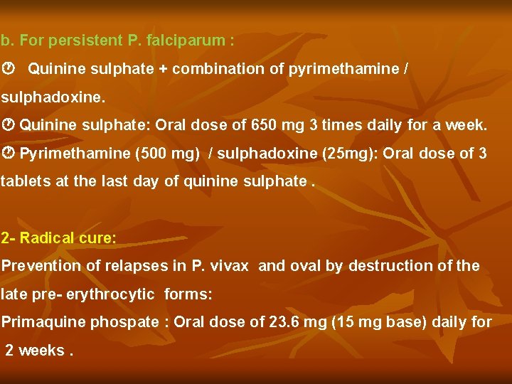 b. For persistent P. falciparum : Quinine sulphate + combination of pyrimethamine / sulphadoxine.