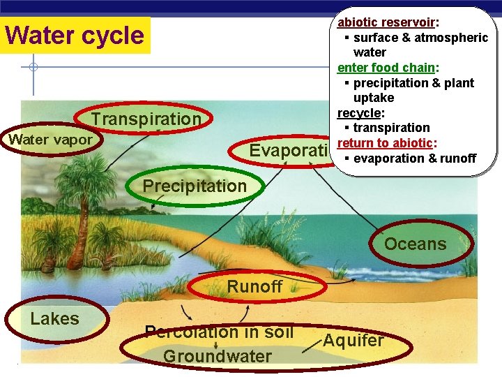 abiotic reservoir: § surface & atmospheric water enter food chain: § precipitation & plant