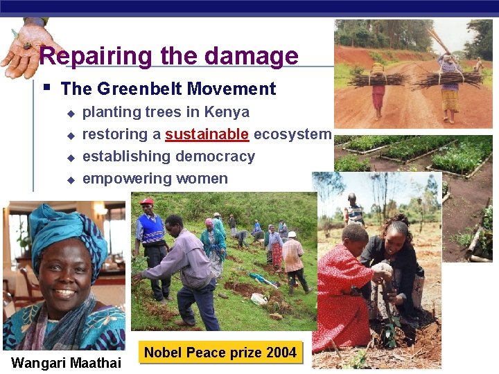 Repairing the damage § The Greenbelt Movement u u AP Biology planting trees in