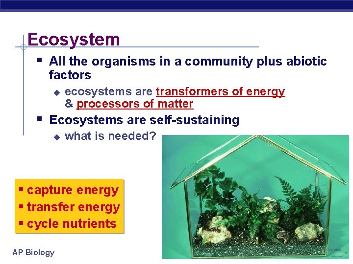 Ecosystem § All the organisms in a community plus abiotic factors u ecosystems are