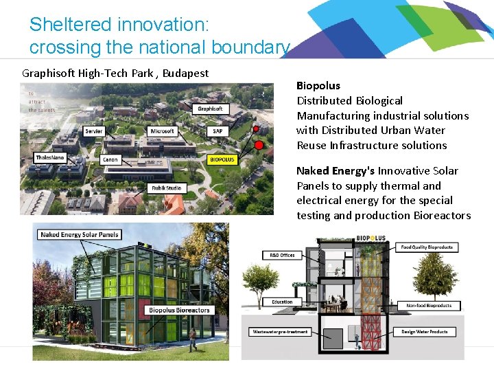 Sheltered innovation: crossing the national boundary Graphisoft High-Tech Park , Budapest Biopolus Distributed Biological