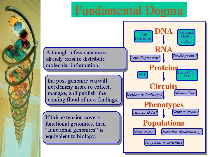 Fundamental Dogma Map Databases Although a few databases already exist to distribute molecular information,