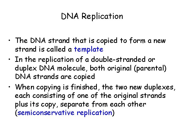 DNA Replication • The DNA strand that is copied to form a new strand