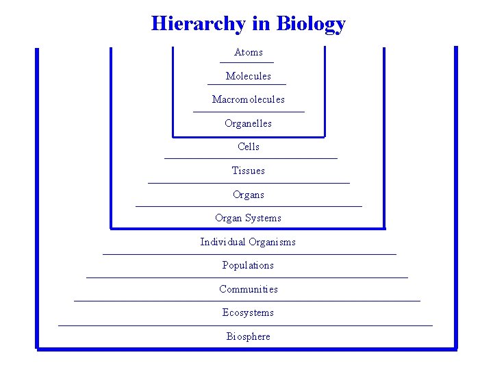 Hierarchy in Biology Atoms Molecules Macromolecules Organelles Cells Tissues Organ Systems Individual Organisms Populations