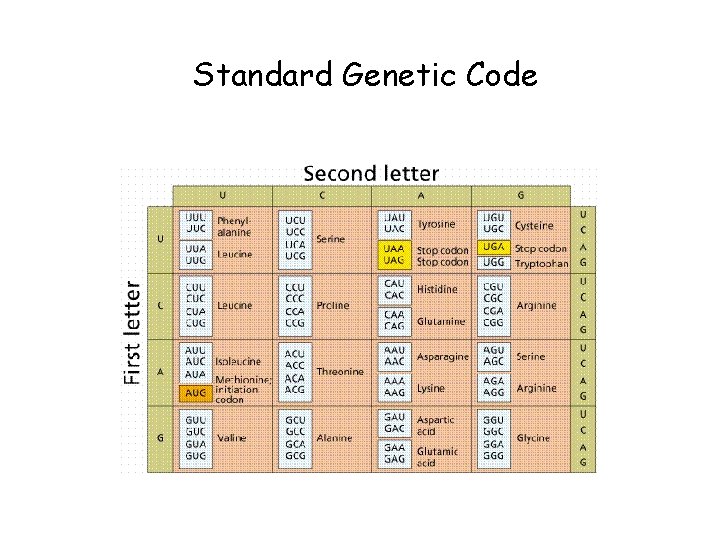 Standard Genetic Code 