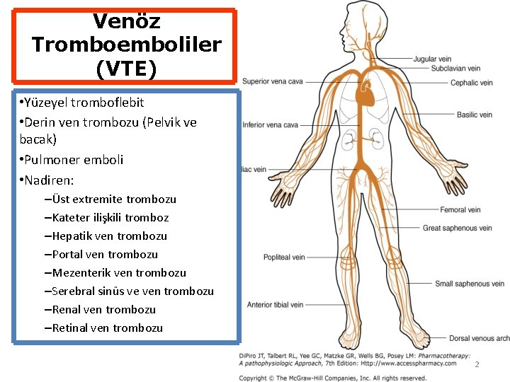 Venöz Tromboemboliler (VTE) • Yüzeyel tromboflebit • Derin ven trombozu (Pelvik ve bacak) •
