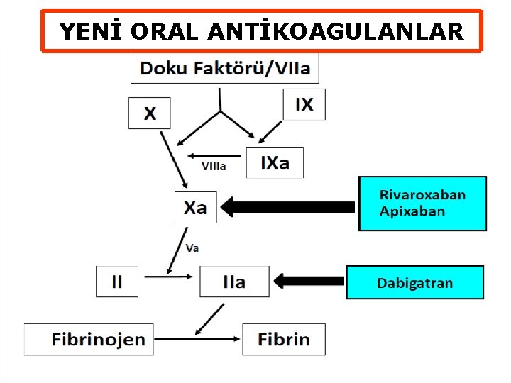 YENİ ORAL ANTİKOAGULANLAR 35 