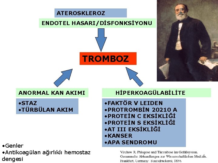 ATEROSKLEROZ ENDOTEL HASARI/DİSFONKSİYONU TROMBOZ ANORMAL KAN AKIMI • STAZ • TÜRBÜLAN AKIM • Genler